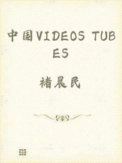 中国VIDEOS TUBES